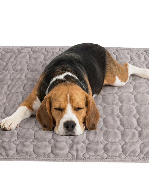 Load image into Gallery viewer, Large Dog Crate Bed Dog Crate Pad Washable Dog Bed Mat for Crate Mats for Dog Cage Mat Dog Kennel Pad Dog Kennel Mat Dog Crate Liner Dog Beds for Large Dog,48" X 36"
