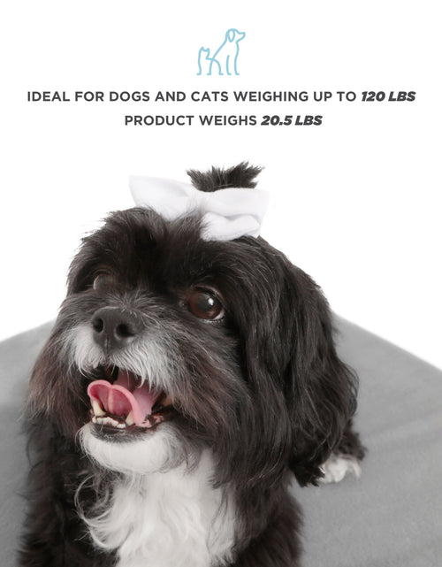 Load image into Gallery viewer, Winston Small Elevated Wooden Pet Bed with Plush Mattress, White
