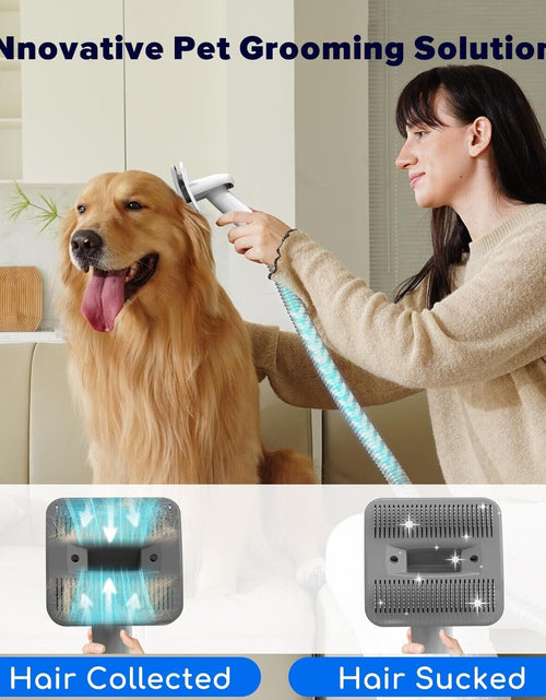 Load image into Gallery viewer, Dog Grooming Kit &amp; Dog Hair Vacuum,15000 Pa Powerful Suction, Pet Grooming Va...
