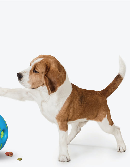 Load image into Gallery viewer, Wobble Wag Giggle Treat Ball, Interactive Dog Toy &amp; Treat Dispenser, Blue
